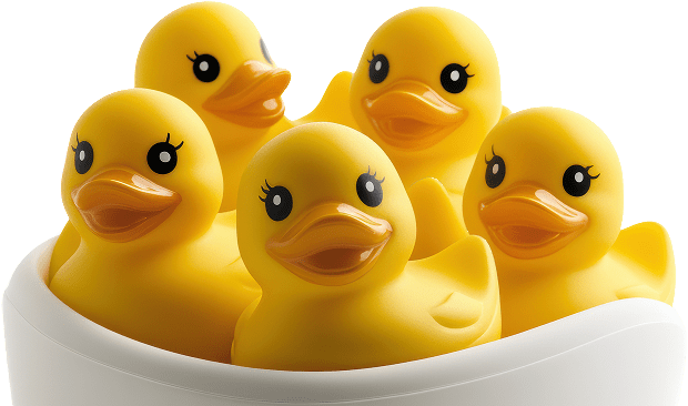 image ducks